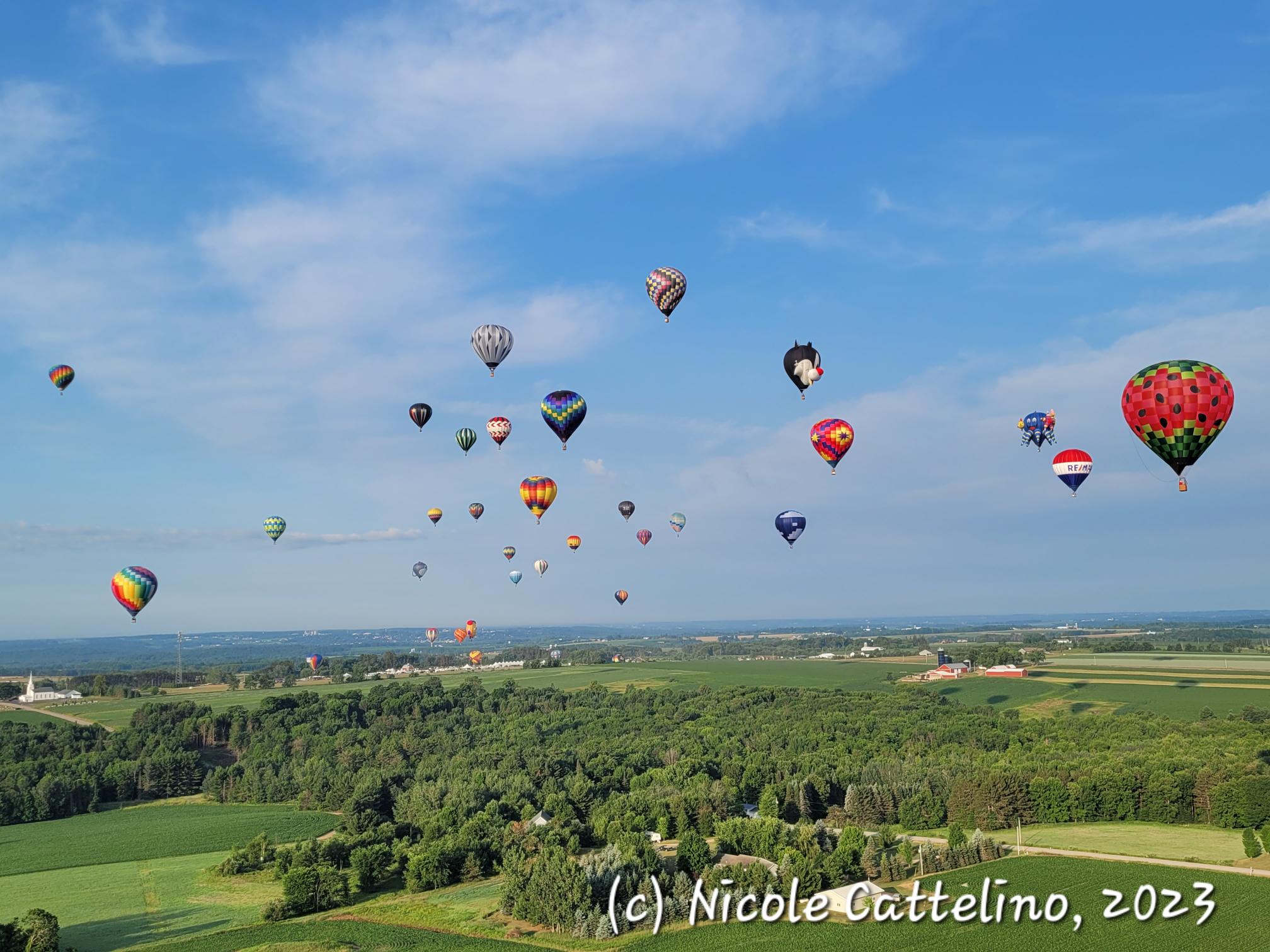 Photo I took at Taste N' Glow, 2023